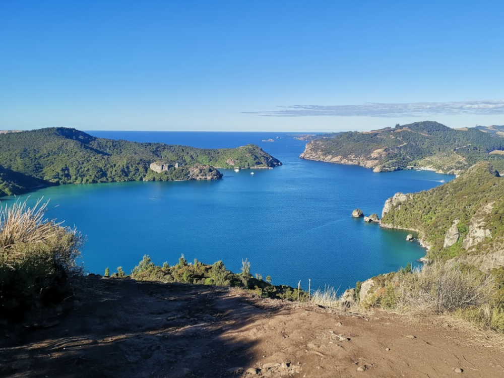 Lane Cove Hut and Dukes Nose Hike