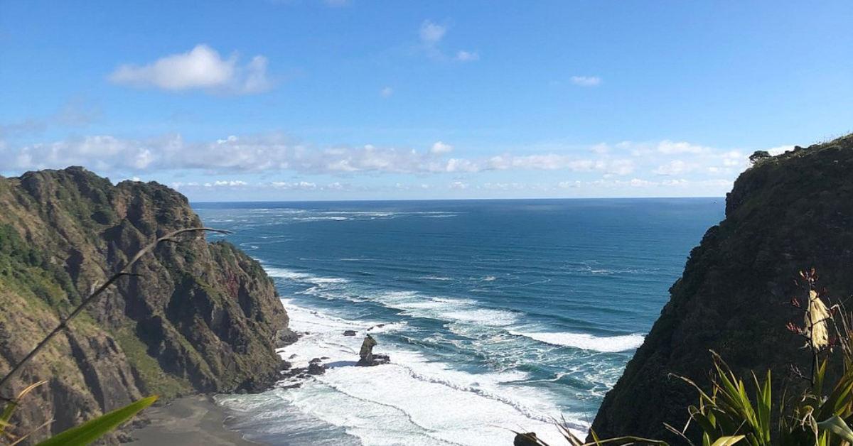 Best Walks in Auckland