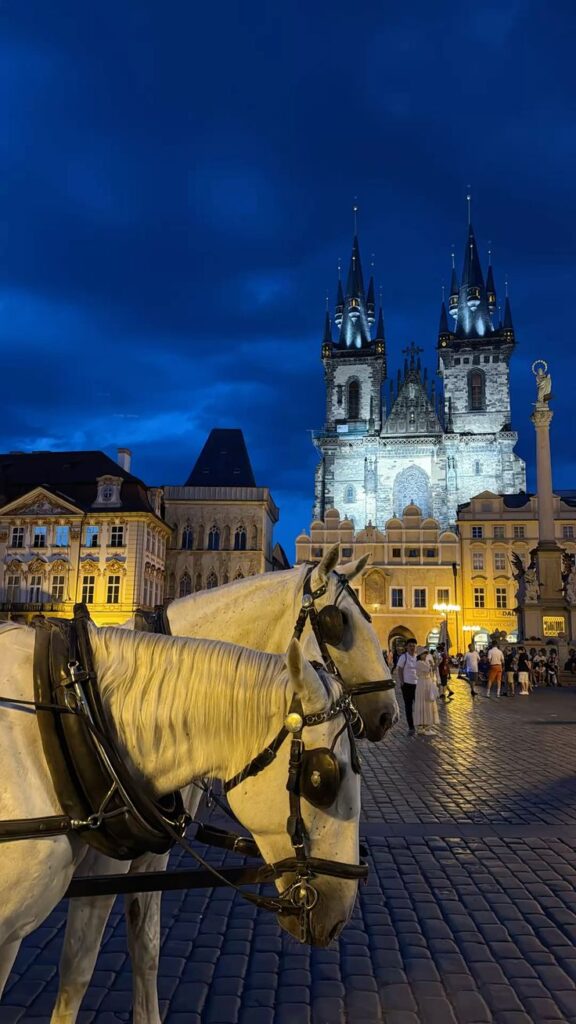 Two white horses pulling a cart in front of the yellow St. Nicholas Church on Prague's Old Town Square.