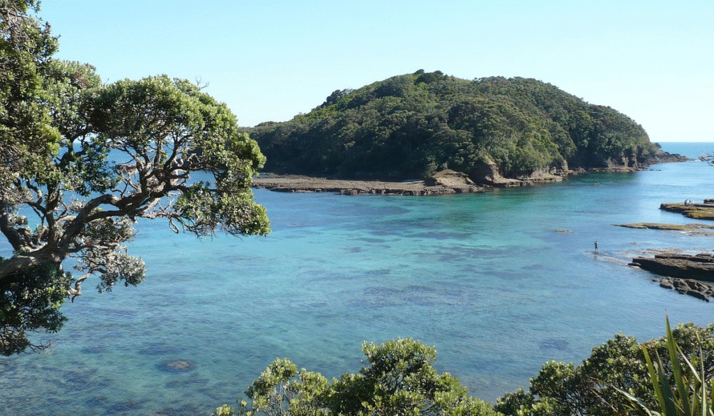 Matakana New Zealand