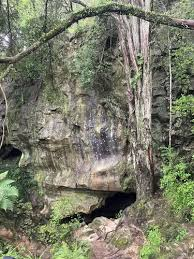 Waipu Caves 