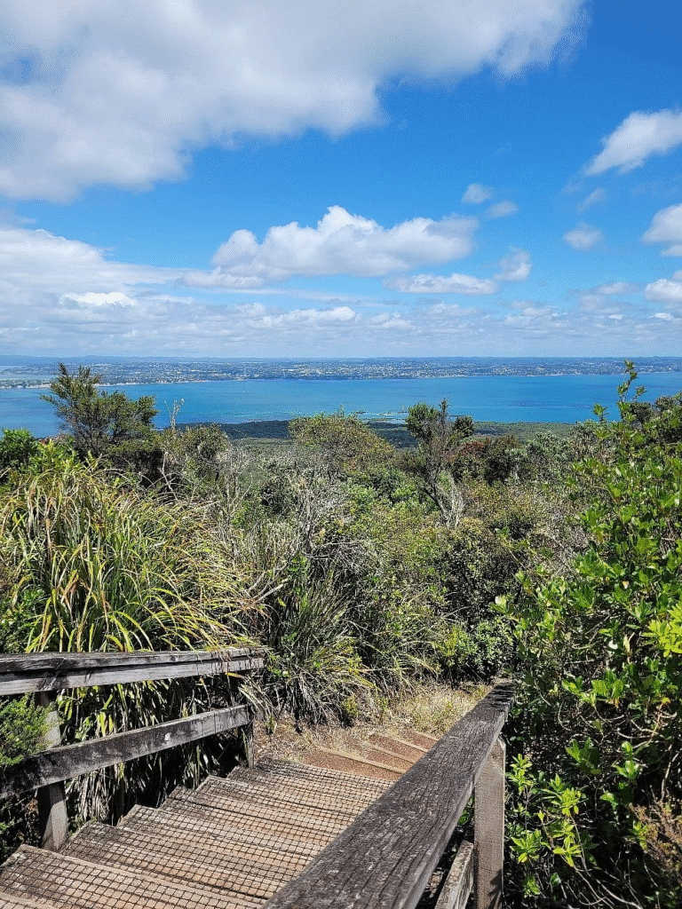 Rangitoto Summit Track