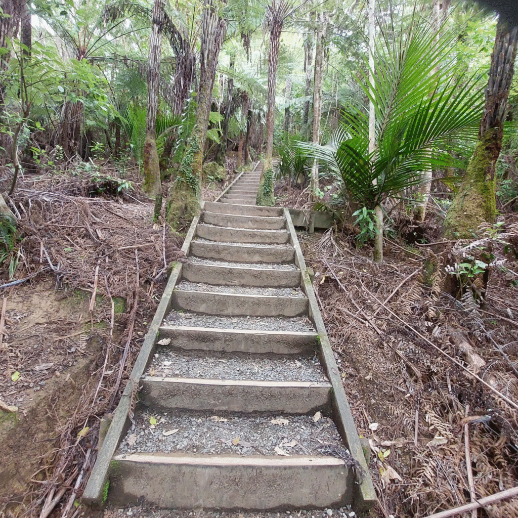 Clevedon Scenic Reserve