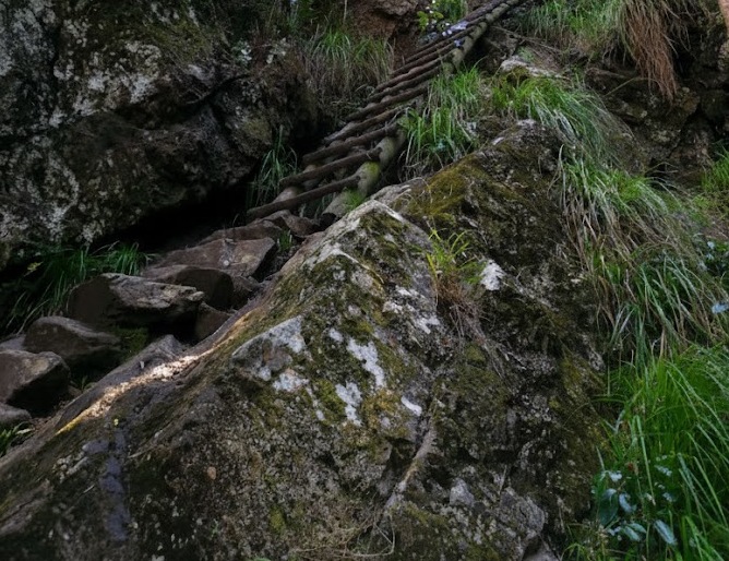 a ladder on the Skeleton Gorge hike one of the best hikes around Cape Town