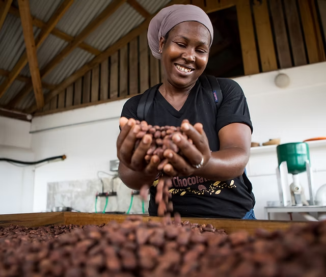 Workers who hand sort cocoa beans at the Jouvay Grenada Chocolate Factory