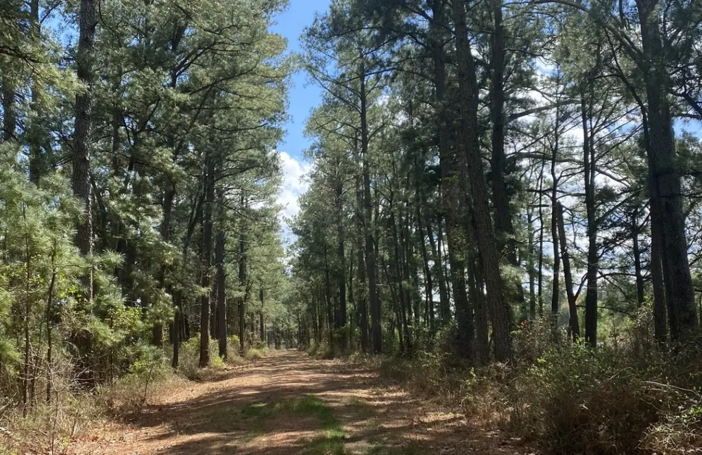  hog island grenada hike trail
