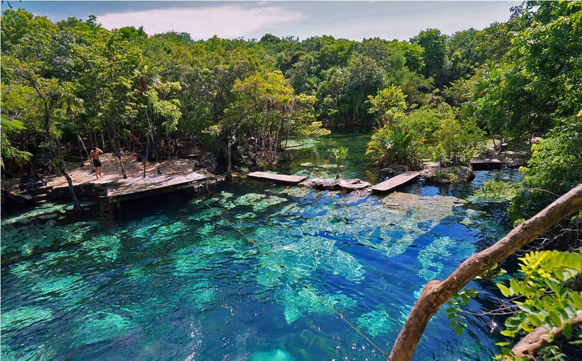 Best Cenotes in Playa del Carmen