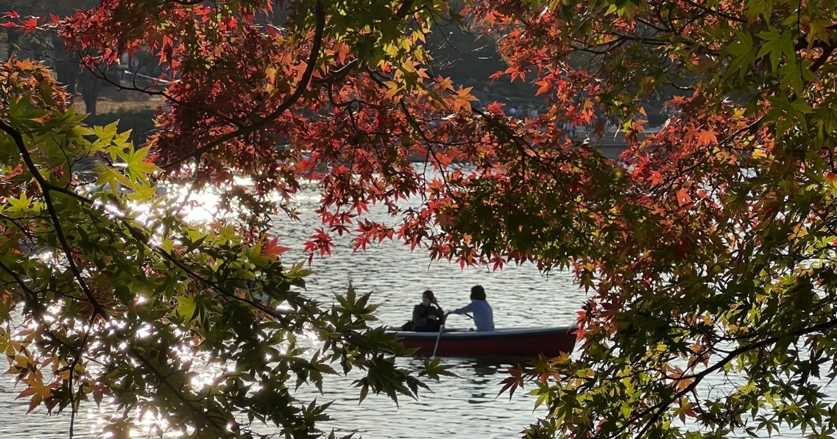 Autumn in Tokyo