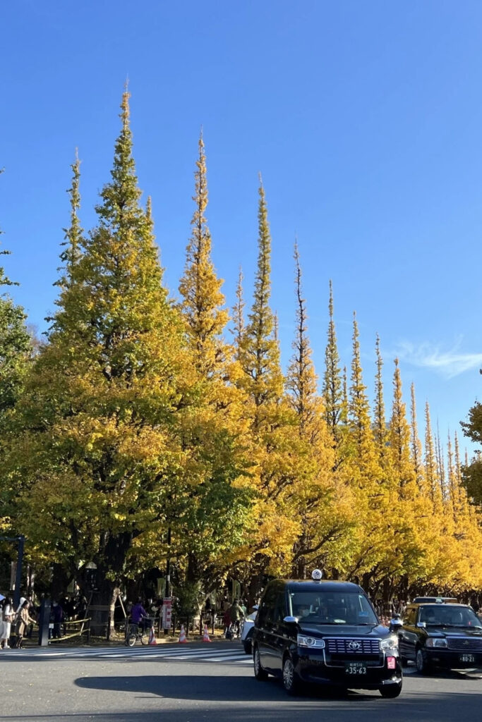 Meiji Jingu Gaien