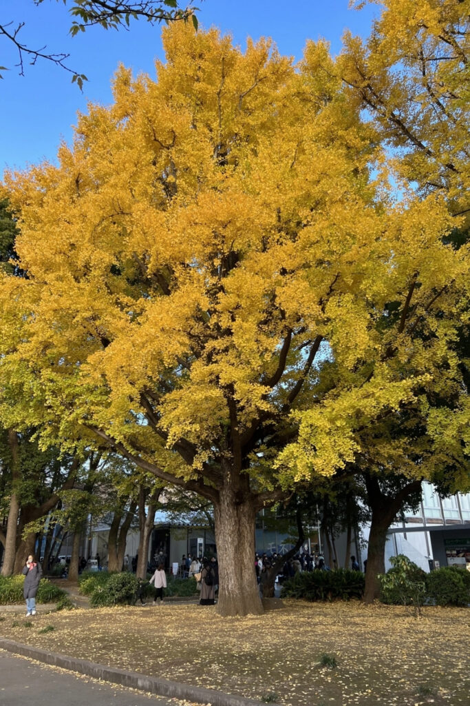 Ueno Park