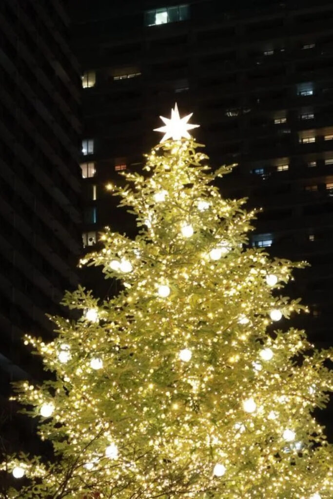 Visit Tokyo’s Christmas Markets