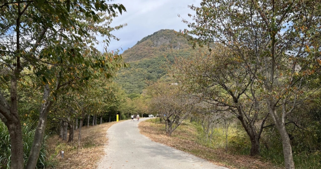 Hike Up To Takaya Shrine