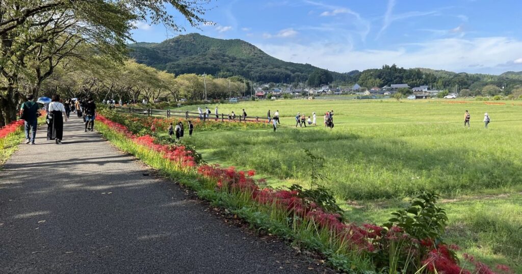 Koma Station
