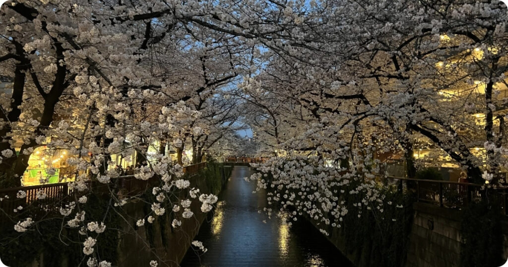 Meguro River and Nakameguro Canal