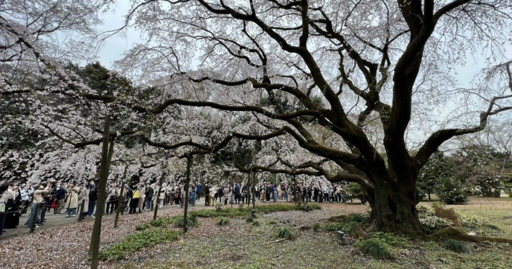 Rikugien Gardens