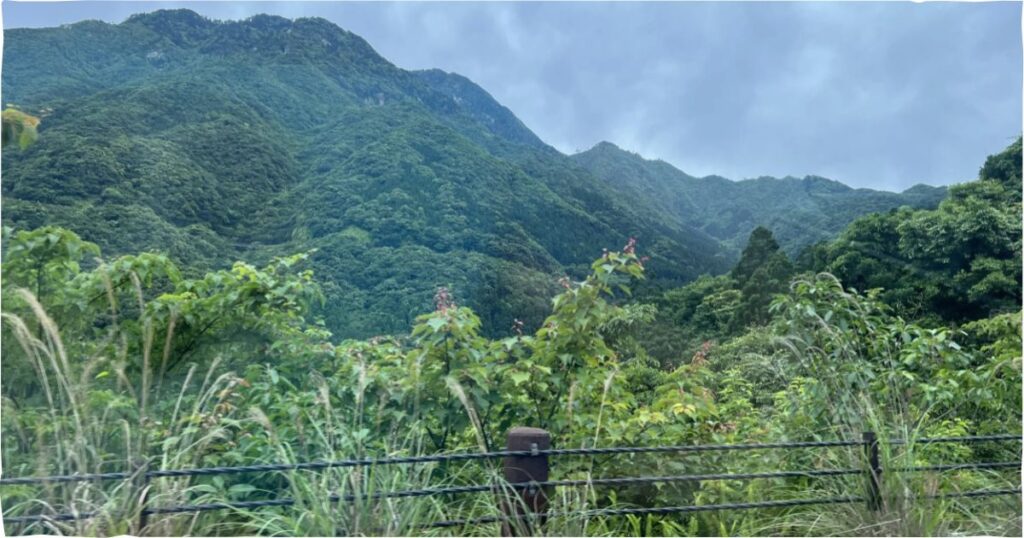 Shiratani Unsuikyo Ravine in Yakushima