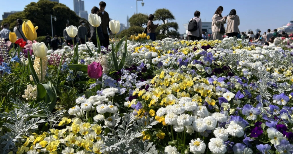 Spring Celebration