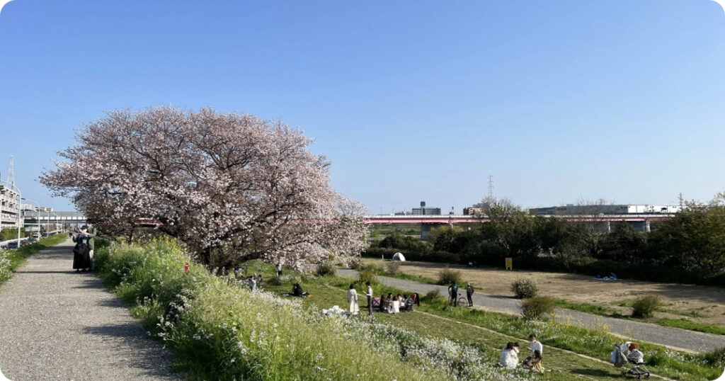 Tamagawa River