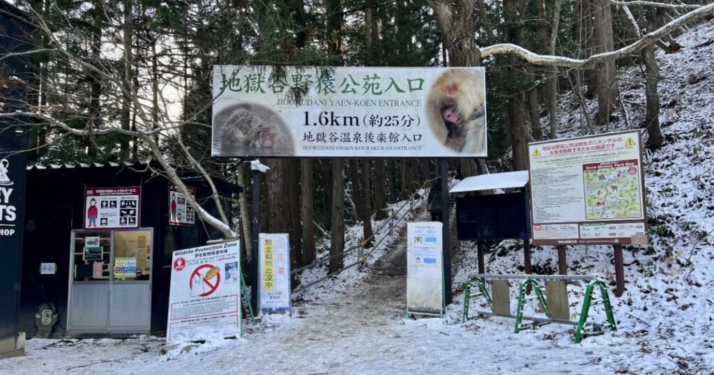Walking to the Park