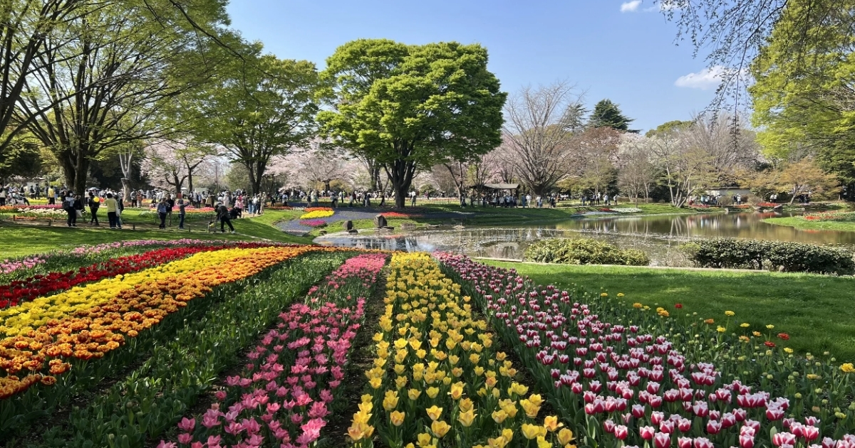 spring in tokyo