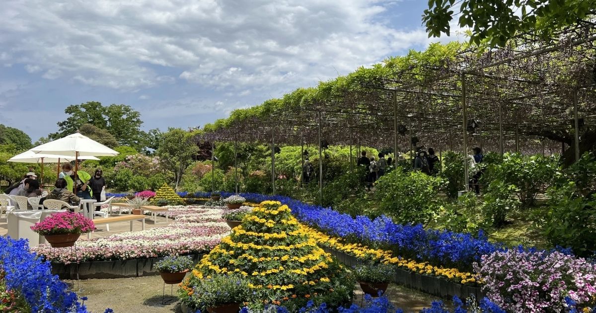 Ashikaga Flower Park